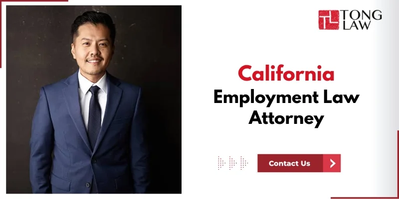 California Employment Law Attorney
